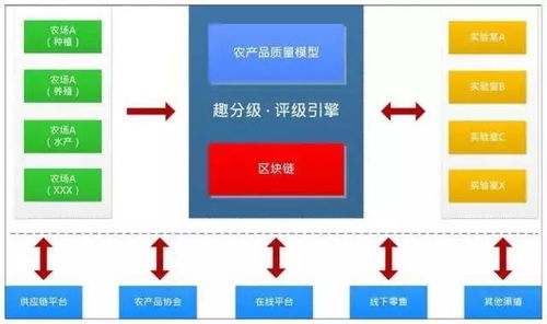 農(nóng)業(yè)信用革命 數(shù)據(jù)驅(qū)動(dòng)的水果分級(jí)與芝麻信用式服務(wù)